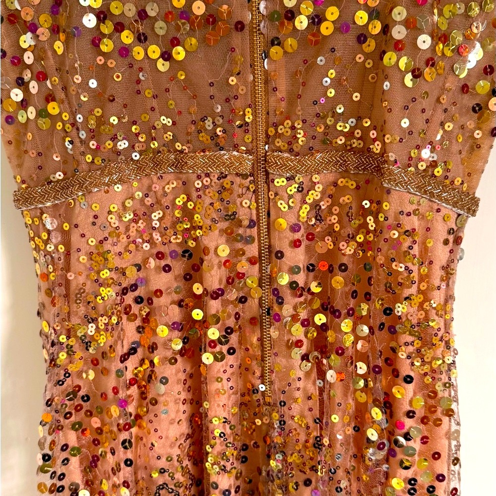 Bronx and Banco Sequin Maxi Dress in Gold and Pink - Picture 10 of 11